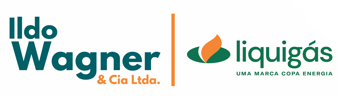 Ildo Wagner